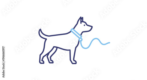 Dog on a leash walking outside.