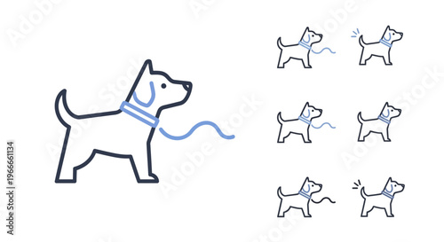 Dog on a leash walking outside.