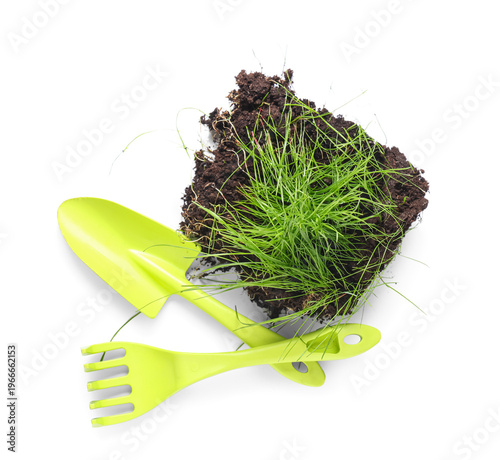Soil with fresh green wheat...