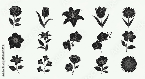 Collection of Black and White Floral Silhouettes.