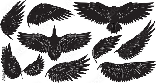 Collection of black bird wings in various flying positions
