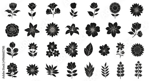 Collection of Black and White Floral Illustrations and Botanical Elements.