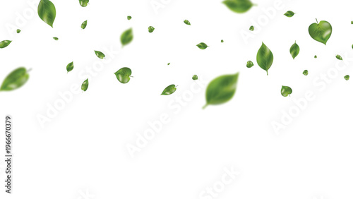 Green leaves flying in air isolated white background natural motion