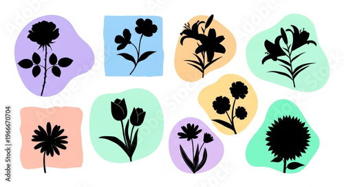 Collection of Black Flower Silhouettes on Abstract Colorful Backgrounds.