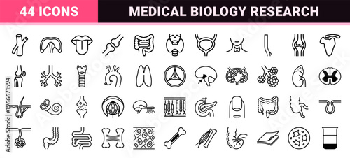 Human Anatomy and Internal Organ System Line Icons featuring Minimalist Monoline Geometric Outlines for Medical and Biological Research.