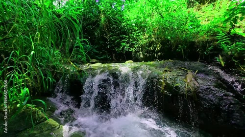 Refreshing small waterfall in the heart of a vivid green rainforest