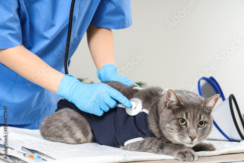 Female veterinarian with st...