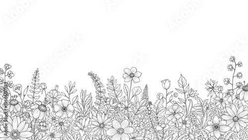 Horizontal meadow border with hand drawn sketches of various wild flowers and grasses on a white background.