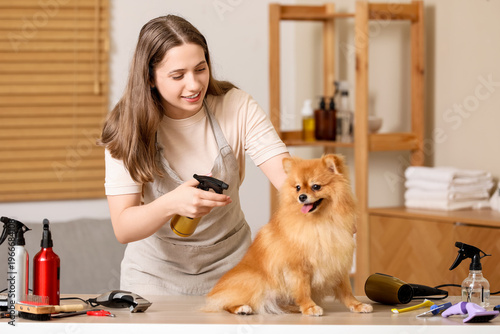 Female groomer taking care ...