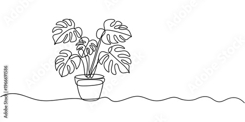 Monstera house plant in pot one line continuous drawing vector illustration. Hand drawn linear icon
