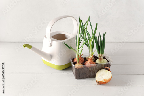 Plastic container with cultivated green onion and watering can on white wooden table
