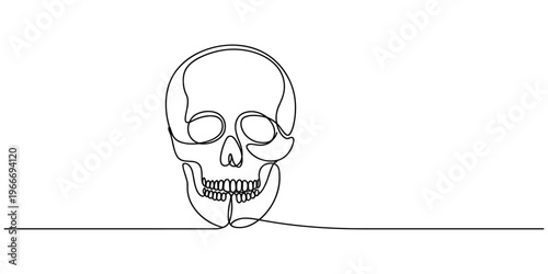 Continuous one line drawing of a human skull in a minimalist artistic style, Continuous one line human anatomical skull, vector illustration, One continuous line illustration of a human skull.