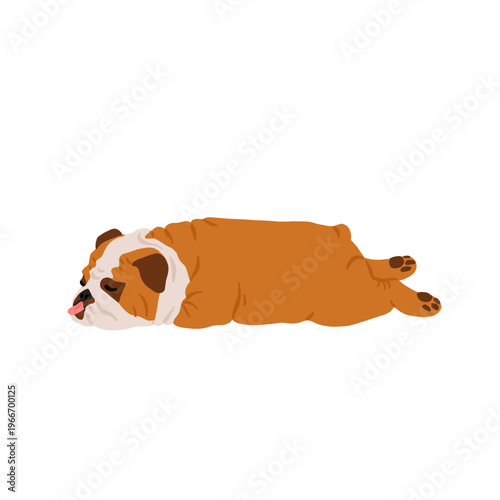 Dog breeds set. Border collie, Australian cattle dog, Basenji, English bulldog, beagle. Cute realistic dogs in different poses. Hand drawn vector illustration