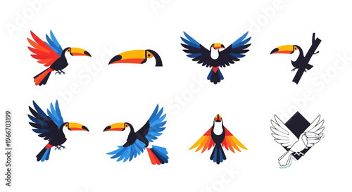 Colorful toucan designs in various poses on transparent background silhouette