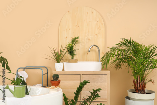 Sink with green plants in b...