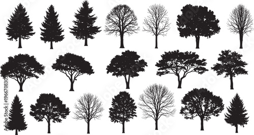 Black tree silhouette collection, deciduous oak and evergreen pine spruce forest elements set, nature landscape wood timber design assets for vector illustration projects,
