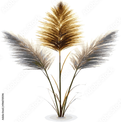 Rendering of a group of three ornamental grasses in full bloom with backlight and isolated on white background image.eps