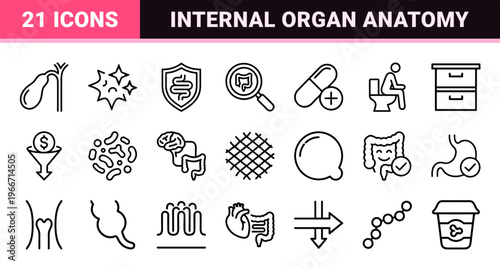 Gastroenterology and Digestive Health Minimalist Line Art Symbols for Medical Information Design and Gut Microbiome Visualization