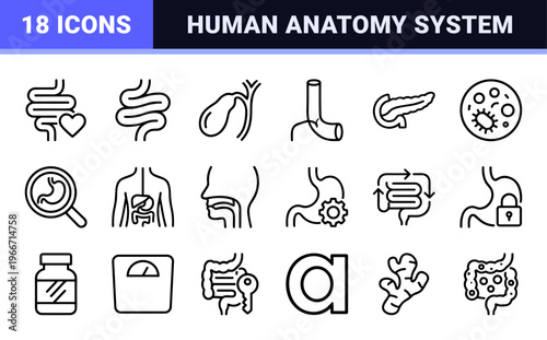 Human Digestive System and Gastroenterology Icon Set featuring Minimalist Monoline Geometric Symbols for Medical and Healthcare Design