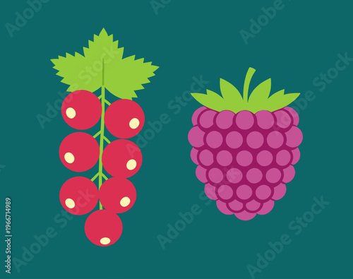 Fresh Red Currant and Raspberry Berries Illustration, Healthy Organic Fruit Icons Isolated on Green Background for Nature and Food Design Projects