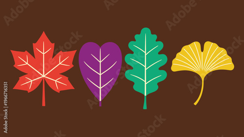 Colorful Autumn Leaves Vector Illustration Collection, Maple, Oak, Ginkgo and Heart Shaped Leaf Isolated on Brown Background for Seasonal Design