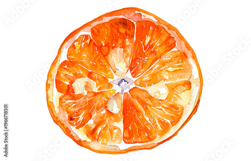 Watercolor mandarin slice illustration isolated on white background. Hand drawn tangerine fruit segment.