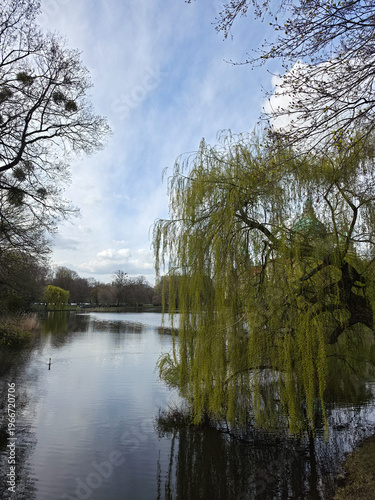 Peaceful willow shadows cast over tranquil water and cloudy sky Maschpark Hanover