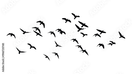 A flock of birds in flight captured as a stark black shape against a white background a striking silhouette high quality