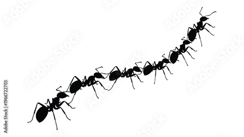 A long line of ants marches across a white background showcasing intricate detail in black silhouette high quality professional detailed modern