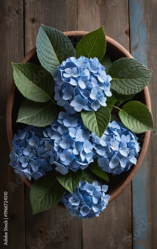 Vibrant blue hydrangeas in a rustic wooden bowl, showcasing lush green leaves from an overhead view on a textured timber surface, embodying serene natural beauty
