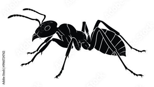 A detailed black silhouette of an ant displays its segmented body and distinct features creating a striking image silhouette high quality