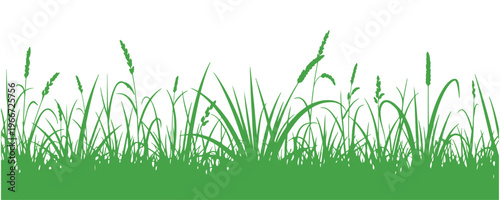 Green grass vector elements representing organic and bio labels on a clean white background.