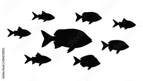 A collection of black fish shapes swim together appearing as a striking minimalist design silhouette high quality professional detailed modern elegant