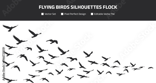 Flying birds silhouettes flock, migratory birds in sky, wildlife nature vector illustration for freedom, travel, migration and environmental design