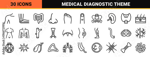 Human Anatomy and Biological Systems Minimalist Monoline Geometric Line Art for Medical Education and Healthcare Software Interfaces