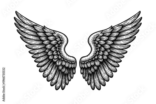 Exquisitely Detailed Pair of Vintage Engraved Angel Wings Illustration, Featuring a Striking Black and White Feathered Design, Hand-Drawn Mythical Heavenly Symbol Ideal for Tattoos, Logos, Apparel, an