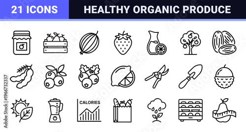 Fresh Fruit and Healthy Nutrition Monoline Outline Icons. Minimalist Geometric Line Art for Organic Food and Agriculture Graphic Design.