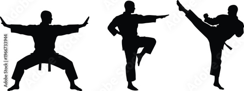 Martial arts silhouettes, karate training poses, self defense practice, combat sport action, fitness discipline movement