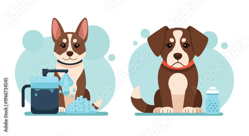 Brown and white dogs clean bathing.