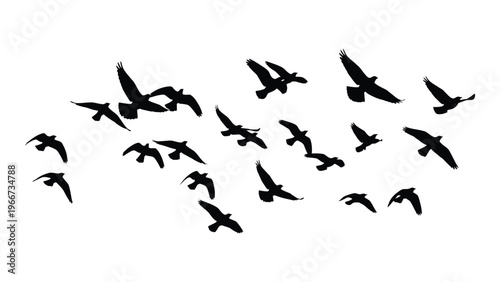 A flock of birds are captured in dynamic flight across a white background showcasing a striking silhouette high quality professional detailed