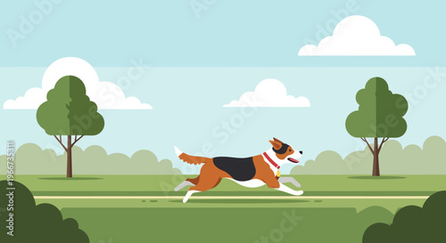 Dog Running in the Field Fast.