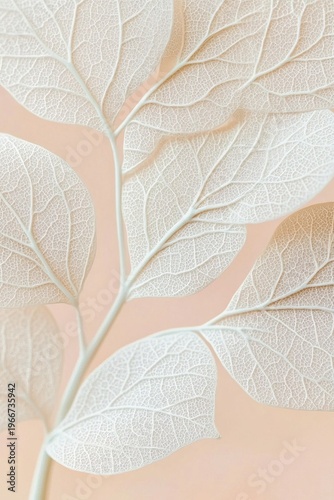 Intricate Veins of White Foliage Artistically Captured in Macro Against a Soft, Elegant Background