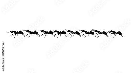 A long line of ants march across a white background their forms sharply defined in black silhouette high quality professional detailed