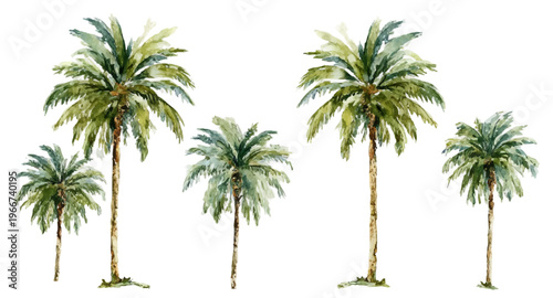 Watercolor palm trees providing a tropical resort feel and vacation atmosphere, depicting a serene botanical illustration for summer travel and leisure concepts with lush green foliage