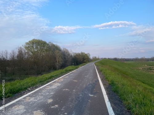 Open Road to New Beginnings: A serene view of an open road under a clear sky, bordered by lush greenery and leading toward an inspiring horizon. 