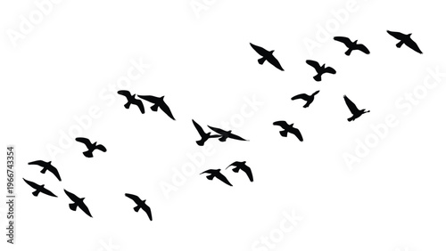 A flock of birds are depicted in flight against a plain white background forming a dynamic v shaped pattern silhouette