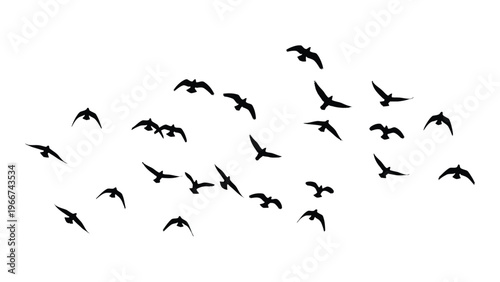 A flock of birds in flight against a stark white background creates a dramatic visual presented as a silhouette high quality