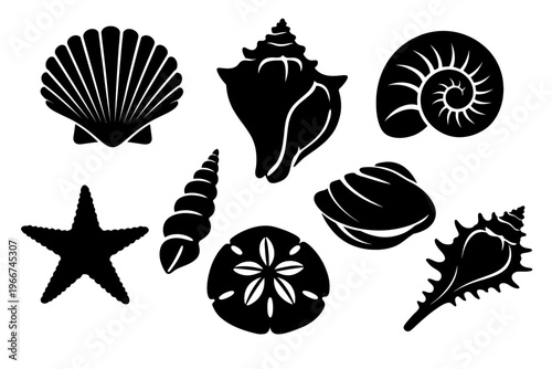 Exquisite collection of diverse marine life silhouettes: featuring elegant seashells including scallop, conch, nautilus, murex, tower, and clam, alongside a classic starfish and unique sand dollar, pe