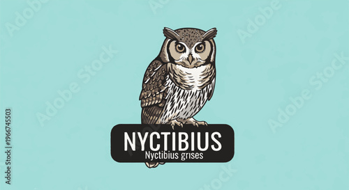 Stylized illustration of a grey owl perched on a dark sign against a light blue background