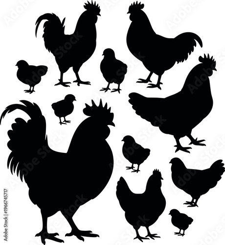 Collection of chicken silhouettes including rooster hen and chicks, farm poultry vector illustration isolated on white background design set